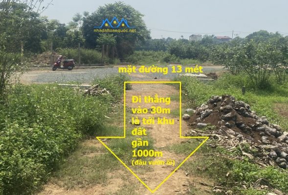 Bán 03 lô đất sổ hồng – đất 50 năm gần mặt đường xã Sài Sơn, Quốc Oai